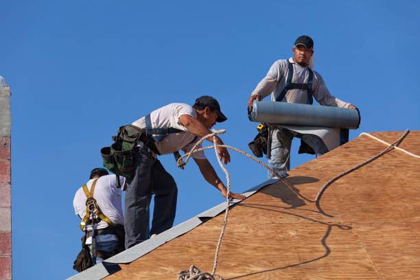 Roof Gutter Cleaning in Winder, GA