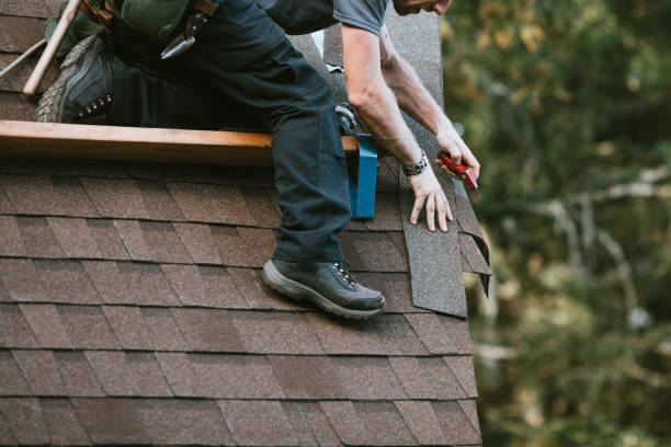 Best Gutter Installation and Roofing  in Winder, GA